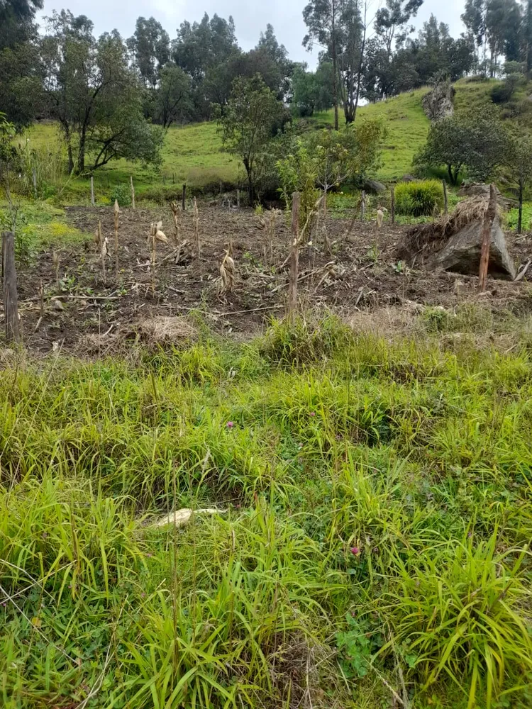 Aprestamiento de tierra para huertas - Imagen 1