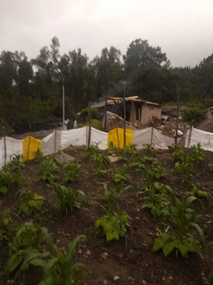 Aprestamiento de tierra para huertas - Imagen 4