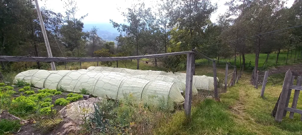 Actividades en Territorio