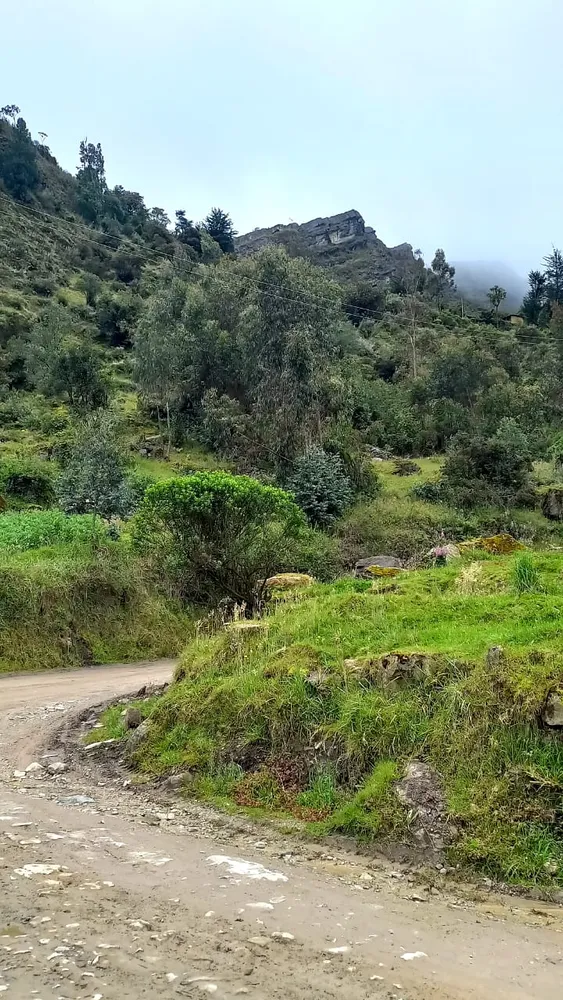 Visita a huertas - Imagen 1
