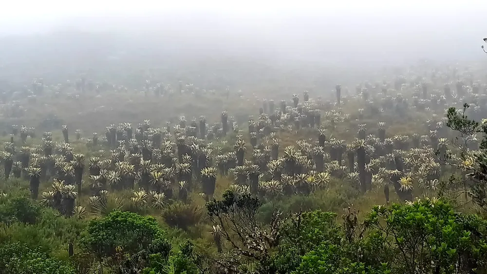 Visita a huertas - Imagen 4